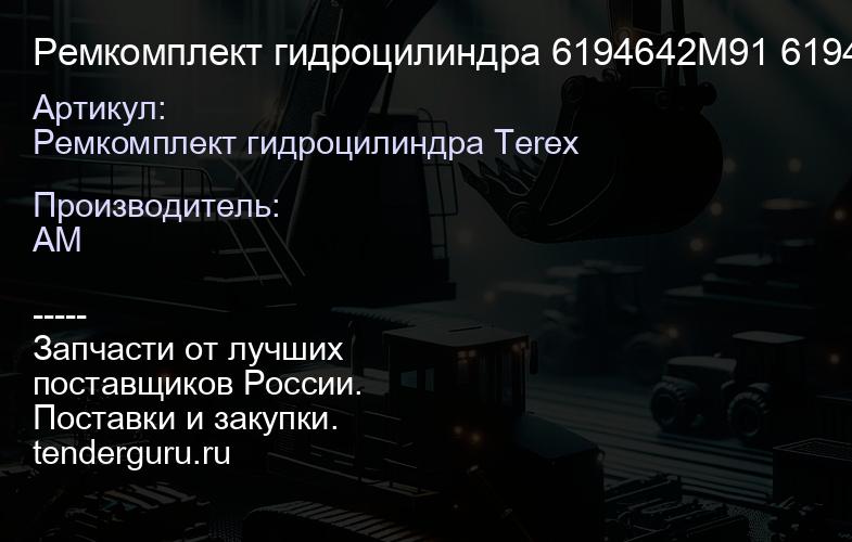 Ремкомплект гидроцилиндра 6196001M91 6196001M91 | купить запчасти